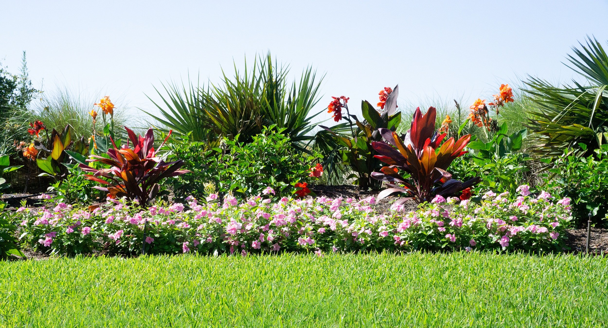 Seasonal Landscaping Tips for Nashville Gardens: A Year-Round Guide by Landscaping Nashville