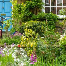 Sustainable and Wildlife-Friendly Landscaping in Nashville