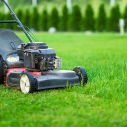 Top-Rated Lawn Care Services in Nashville