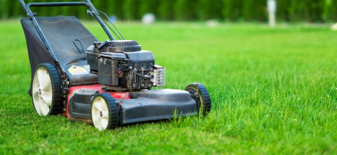 Top-Rated Lawn Care Services in Nashville